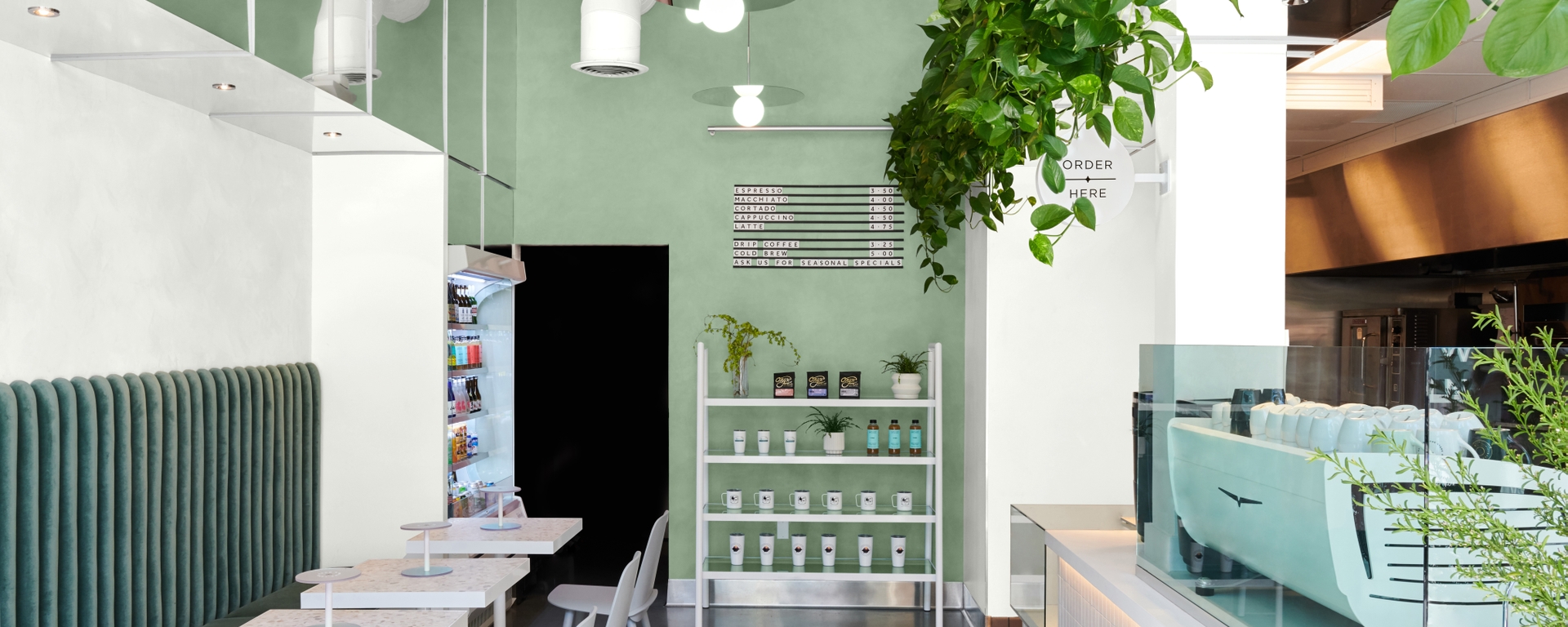 interstellar_03072020_6091_AzaleaLeaf